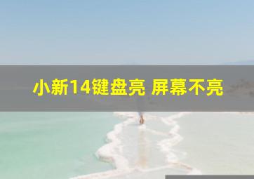 小新14键盘亮 屏幕不亮